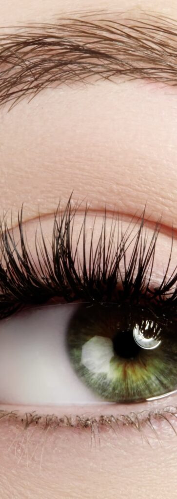 Eye